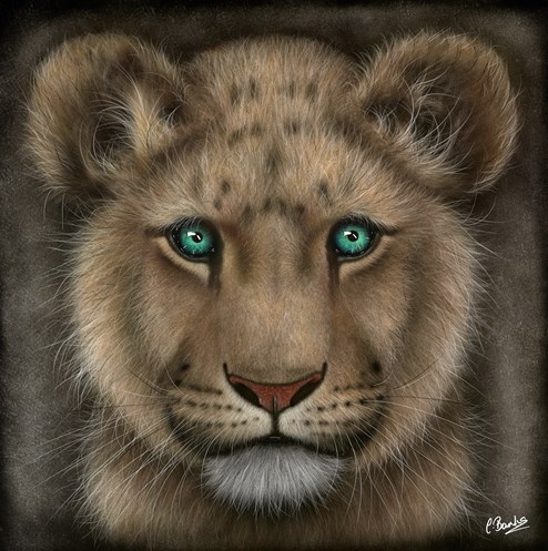 Little Star by Colin Banks - Original